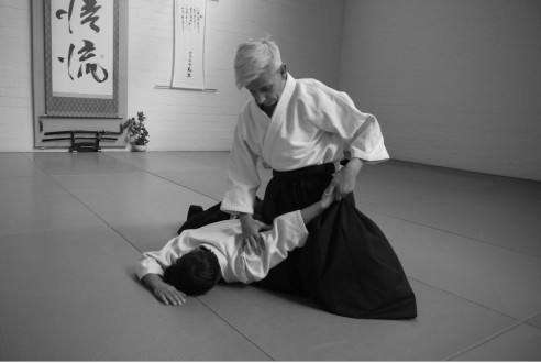 aikido-8.jpg